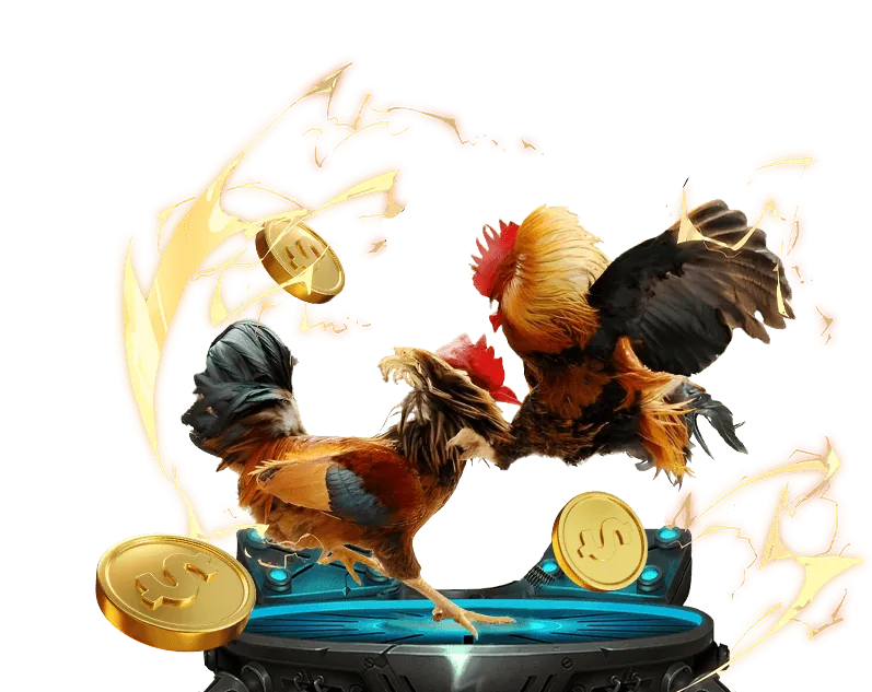 Đội ngũ hỗ trợ khách hàng chuyên nghiệp và tận tâm